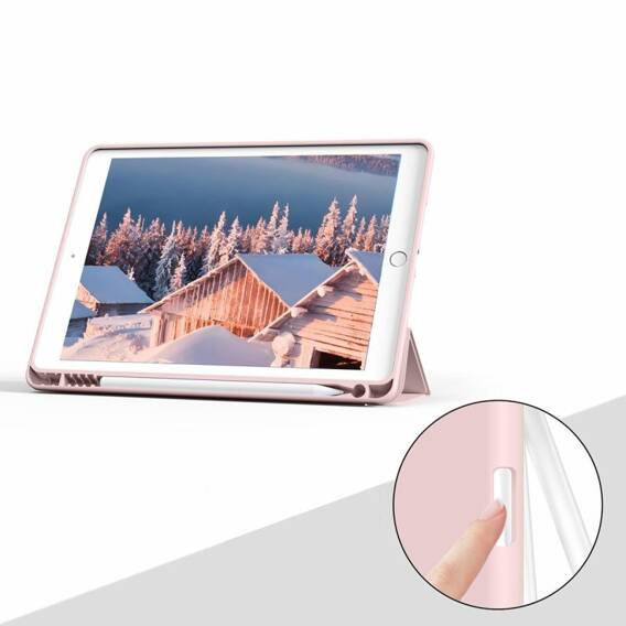 Case APPLE IPAD 10.2 (7GEN / 8GEN / 9GEN) Small Texture 1 pink