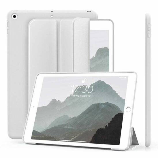 Case APPLE IPAD 10.2 (7GEN / 8GEN / 9GEN) Classic Case 2 gray